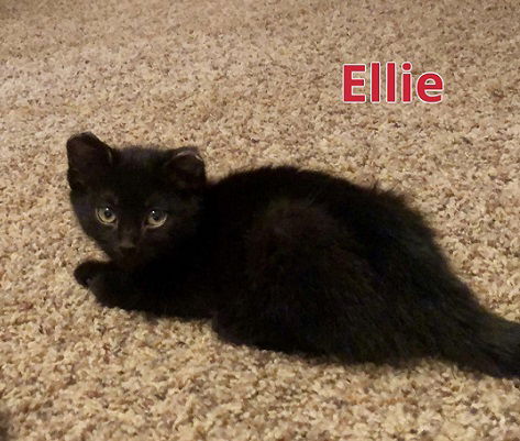 Ellie