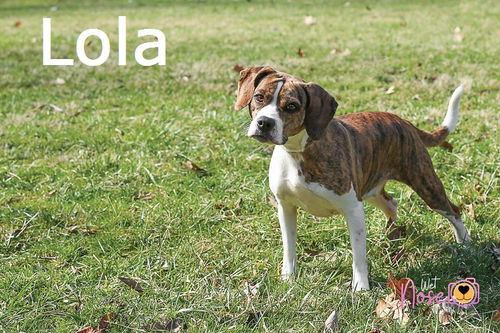 Lola
