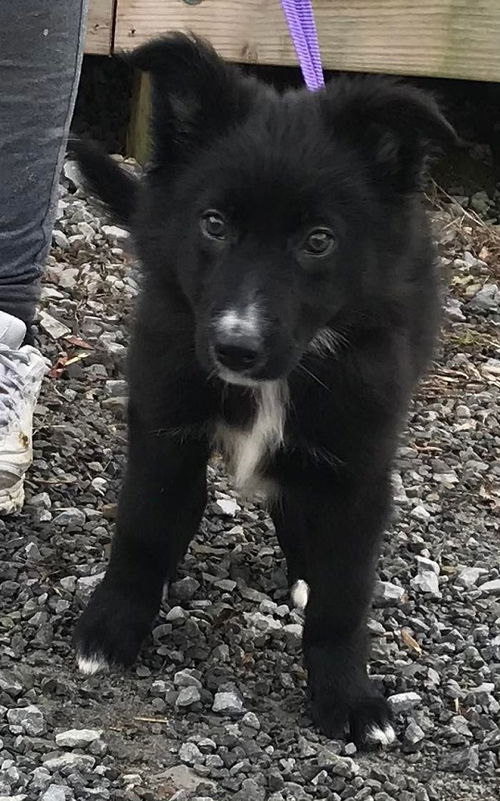 Aspen