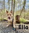 Ella