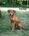 Porter