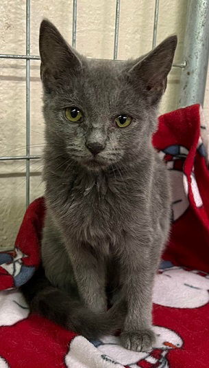 Milo