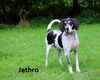 Jethro