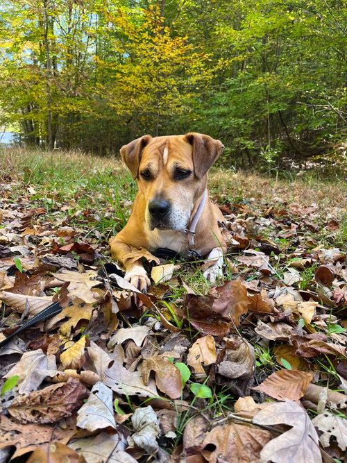 Spike, photo 5