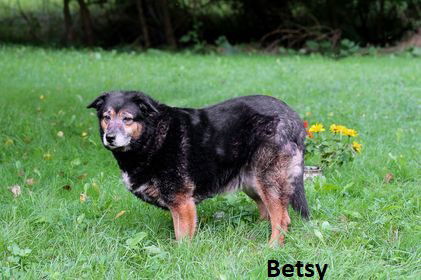 Big Betsy