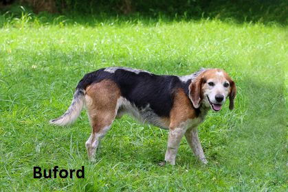 Buford
