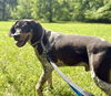 Sawyer