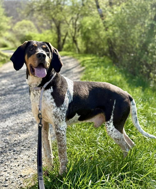 Sawyer