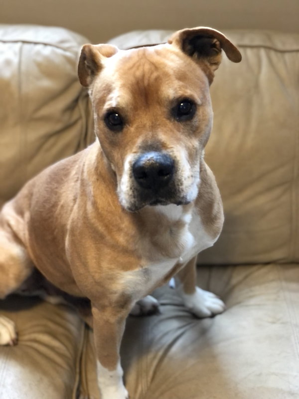 Titus