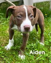Aiden