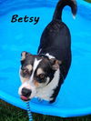 Betsy