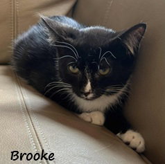 Brooke