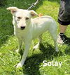 Solay