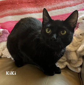 KiKi