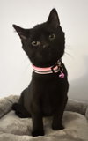 Midnight