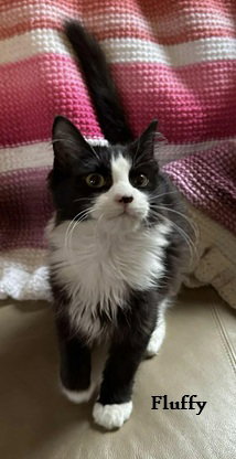 Fluffy