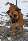 Buster