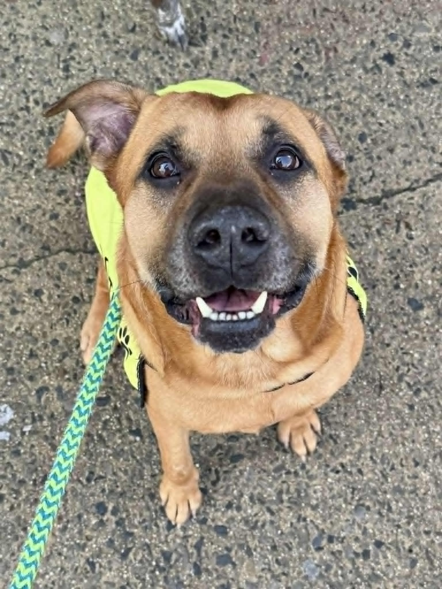 Buster Image