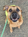 Buster - Photo 1
