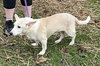 Nella