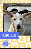 Nella