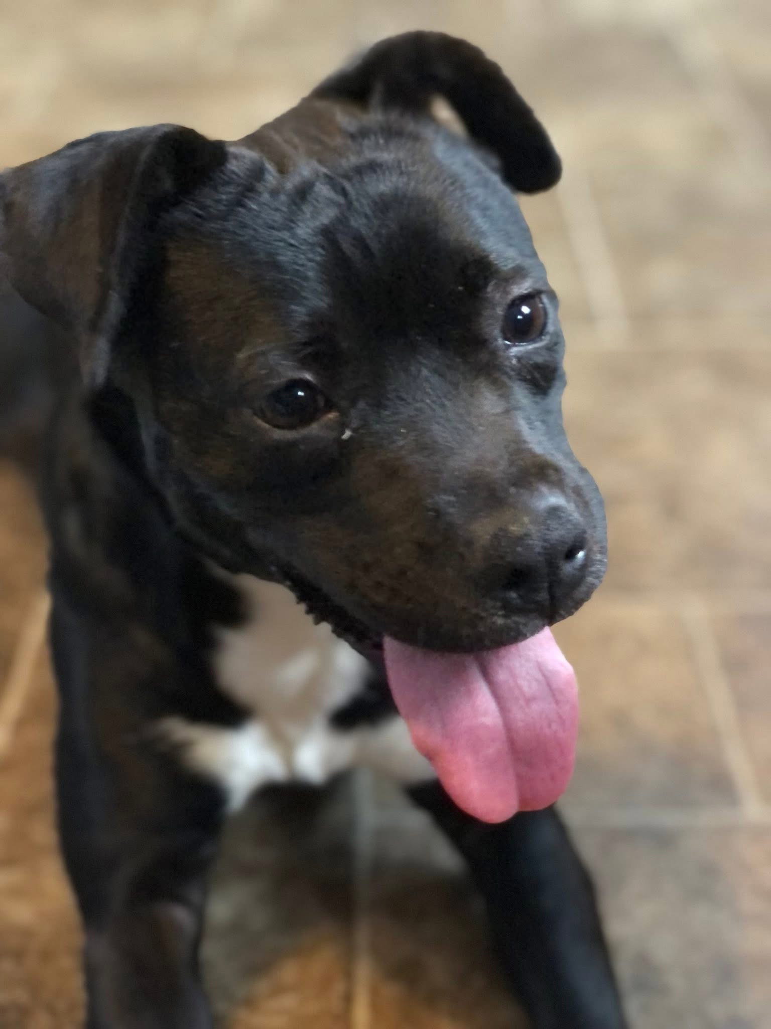 Luna