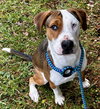 Atticus - Photo 5
