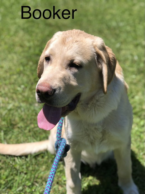 Booker
