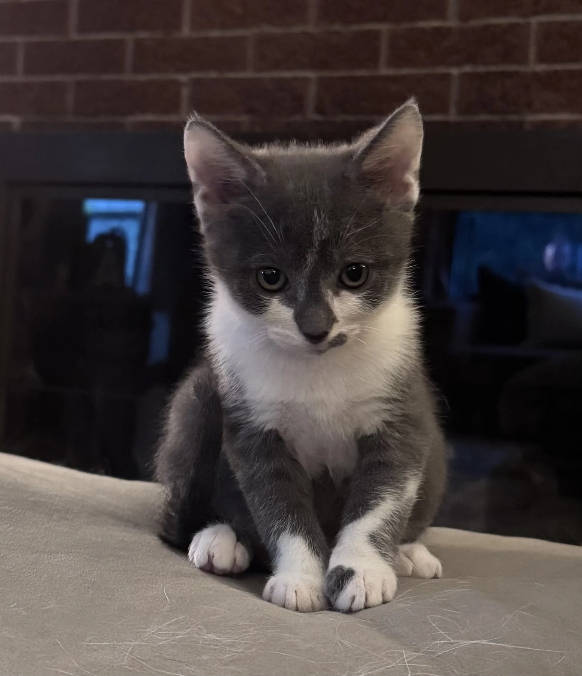 Wyn- In Foster Ask For An Appointment