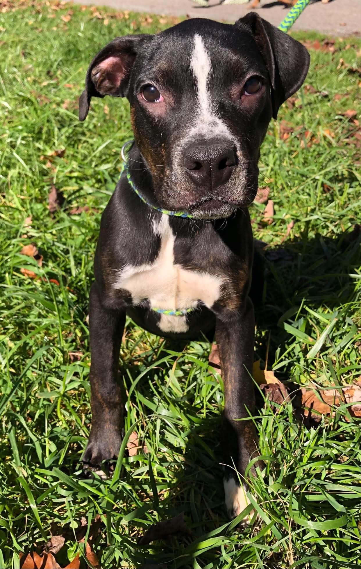 Ellie Mae image 3