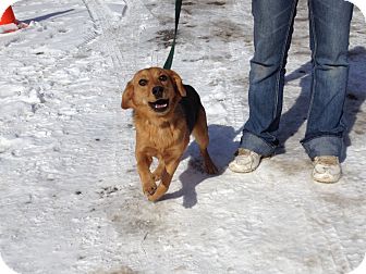 Dixie
