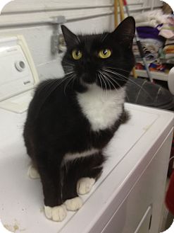 Minnie