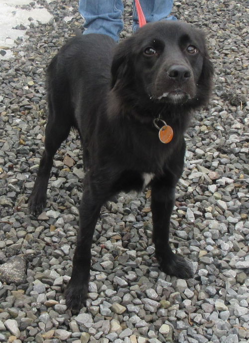 Juno