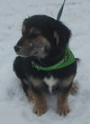 Billy