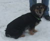 Billy