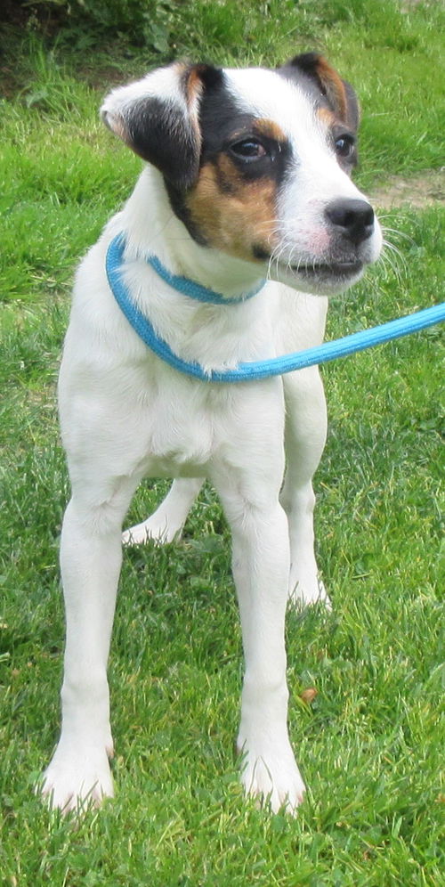 Billy