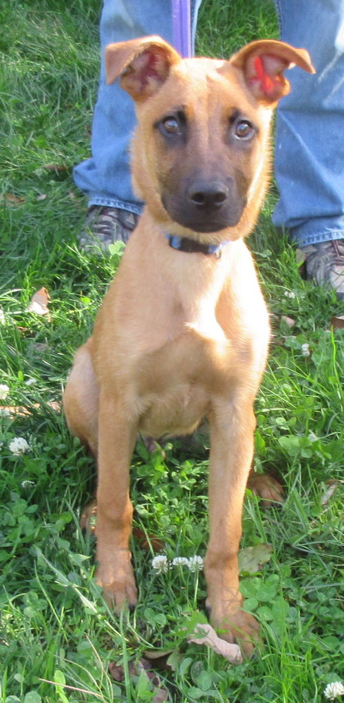 Max