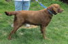 Annie