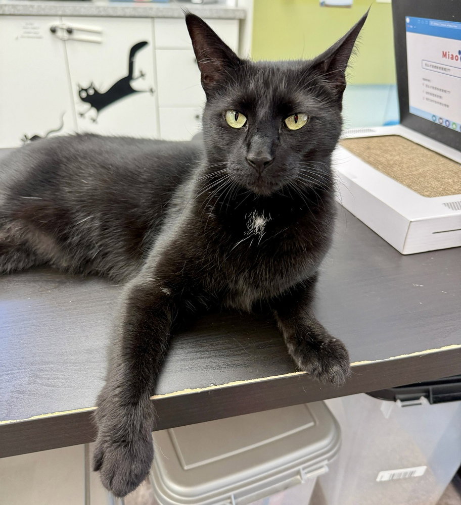 Tilly Image