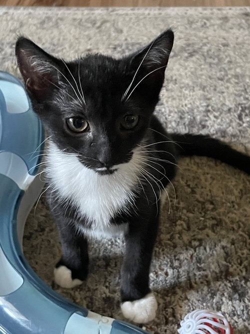 Smudge
