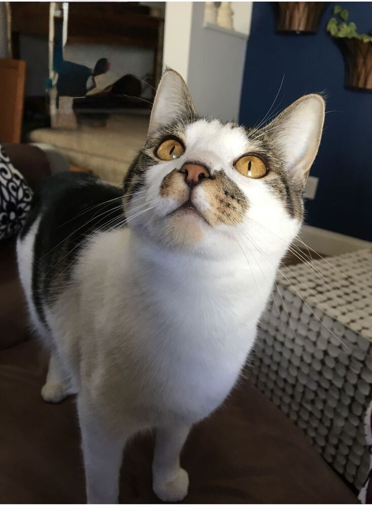 Molly