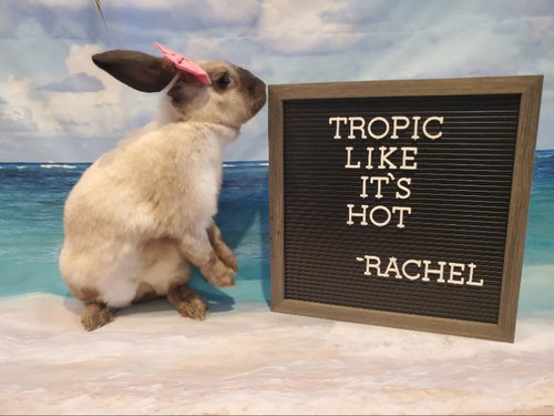 Photo 3 of Rachel