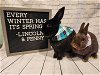 adoptable Rabbit in columbus, OH named Penny