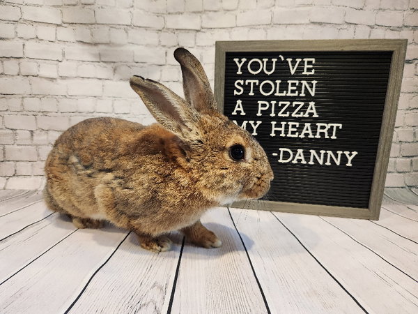Danny