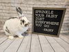 adoptable Rabbit in  named Fairy