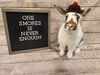 adoptable Rabbit in  named S