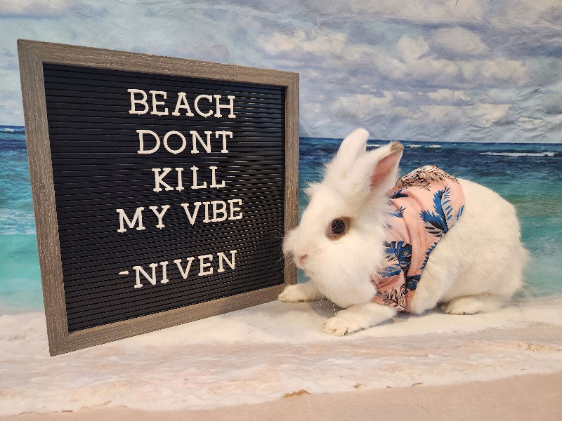 Niven