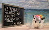 adoptable Rabbit in  named Kiara