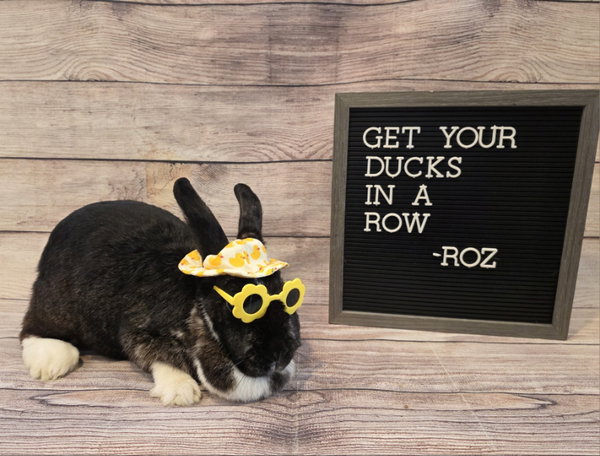 Roz