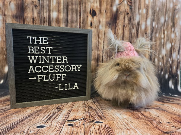 Lila
